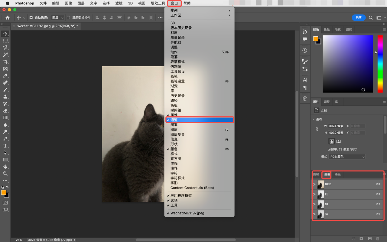 Photoshop 中有哪几种通道